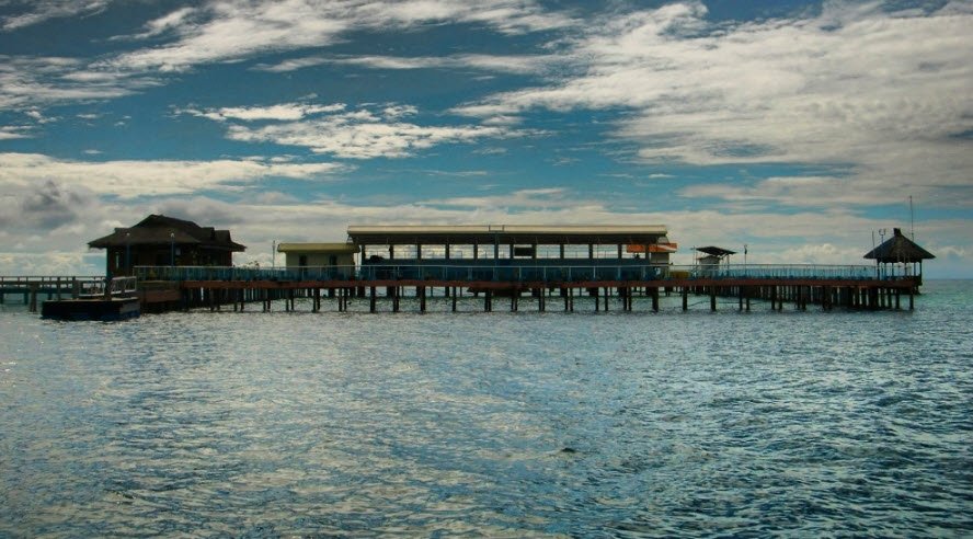 Dolphin Island, Philippines , Philippines
